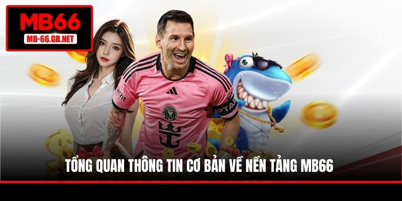 Tổng quan thông tin cơ bản về nền tảng MB66