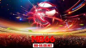 Bí Quyết Bắt Sóng Kèo Rung Chuẩn Như Cao Thủ